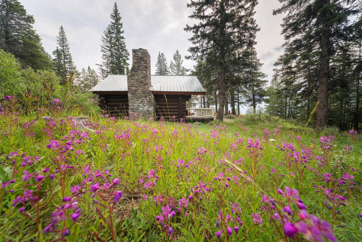 Storm Mountain Lodge & Cabins Castle Junction Exterior photo