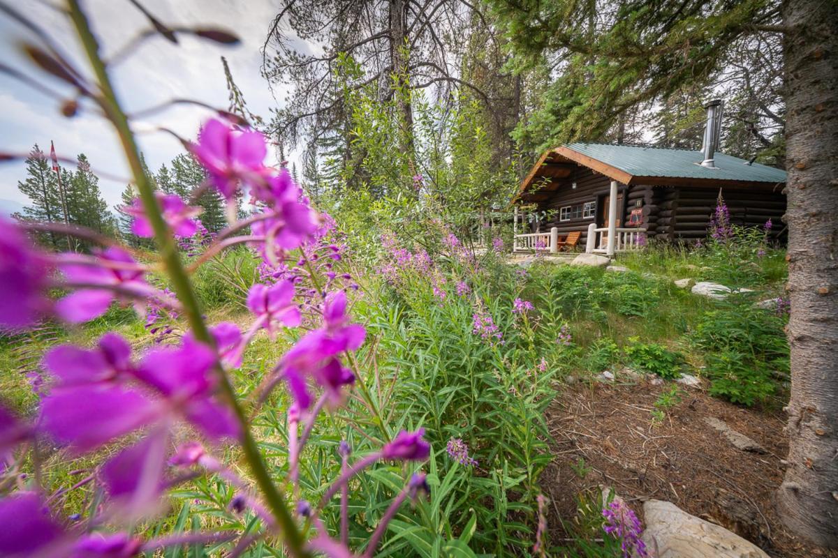 Storm Mountain Lodge & Cabins Castle Junction Exterior photo