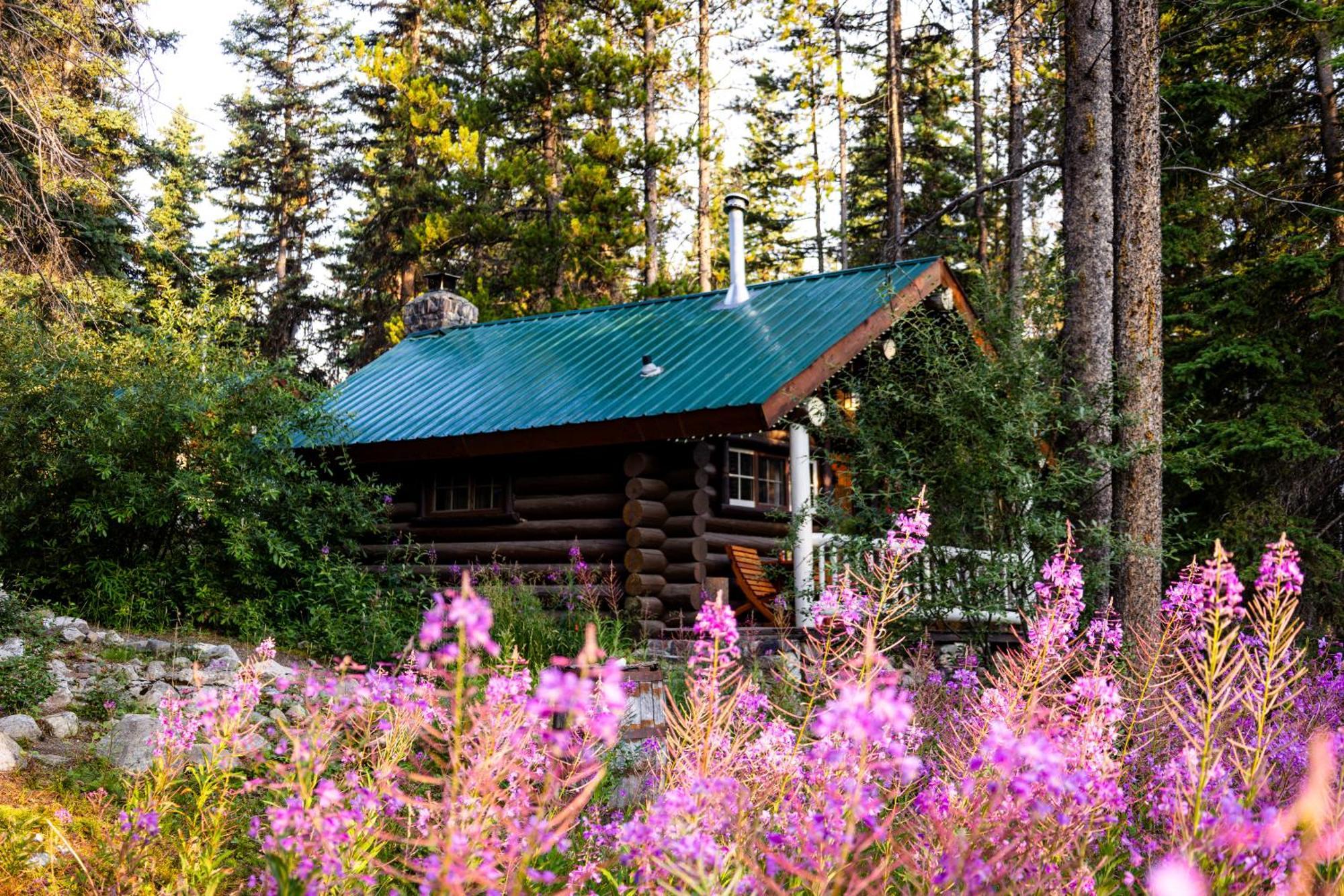 Storm Mountain Lodge & Cabins Castle Junction Exterior photo